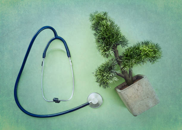 Challenges in Making Eco-Friendly Stethoscopes