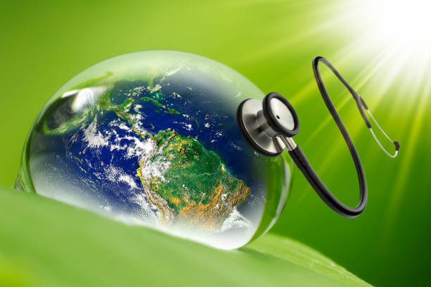 Why Does Sustainability Matter in Healthcare